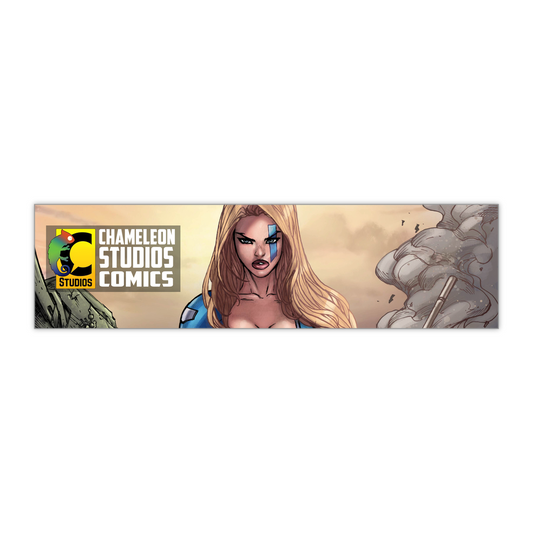 BumperSticker-11x3-20250227150445134